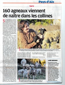article la Provence  nov 2013